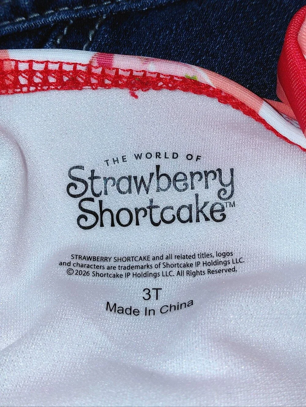 Dreamwave Toddler 2T or 3T Strawberry Shortcake 2 Piece Swimsuit Cover Up NWT
